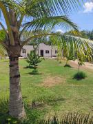 Cancun Paradaiso orchard