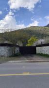 Top Guayacán