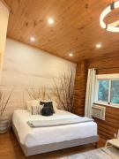 Top Nakusp