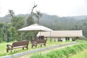 Top Avathi