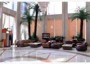 Top Dongguan
