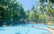 Top Balingasay