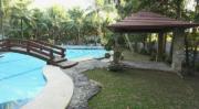 Top Balingasay