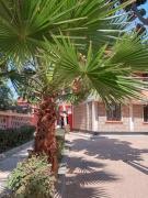 Top Makindu
