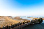 Top Rosolina Mare