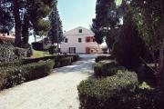 Top Monte Gallo