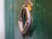 La finestra sul Teatro La finestra sul Teatro