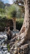 Top Limone sul Garda