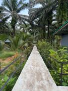 Top Khao Sok