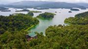 Top Wayanad