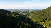 Top Kaczyna