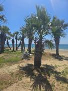 Top Pyla