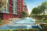 Top Ban Thung Thong