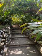 Top Sayulita