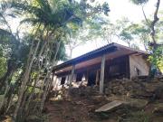Top Rodeio