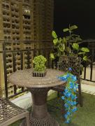 Top Greater Noida