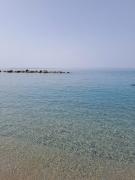 Top Rometta Marea