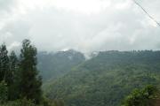 Top Darjeeling