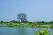 Top Sawāi Mādhopur Top Sawāi Mādhopur