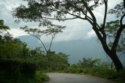 Top Darjeeling