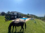 Top Grevena