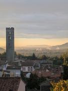 Top Capannori