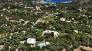 Top Plaka