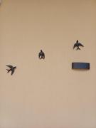 Top Cardano al Campo