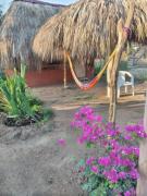 Top Zipolite
