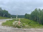 Top Bonne Bay Pond