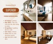 22 Độ Dốc Homestay