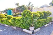 Top Louis Trichardt