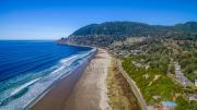 Top Manzanita