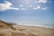 Top Manzanita