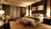 EL DE Skyline Grand - Near IGI Airport Delhi