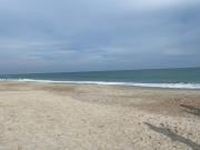 Top Wilmington