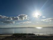 Top Sarasota