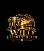 Wild Elephant Reach Wilpattu