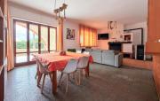 Top Arenella
