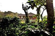 Top Sakleshpur