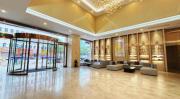 Top Dongxing