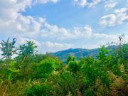 Top Vagamon