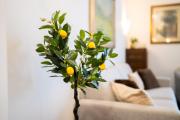 Valtorta Living - Elegant 3BR Apartment MM Turro