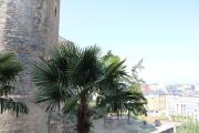 Top Ponferrada