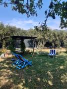 Top Vallecchia