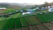 Top Ooty