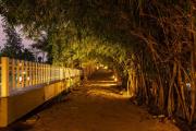 Top Dandeli