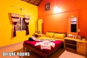 Top Dandeli
