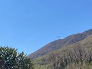 Top Borso del Grappa