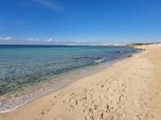 Top Baia Verde